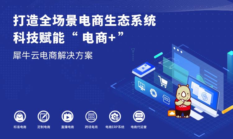 犀牛云助力碧莲盛植发非手术生发品牌莲主任打造标杆服务电商